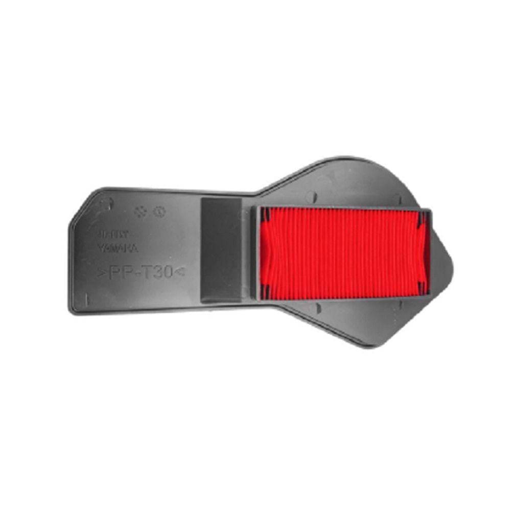 Cygnus RS 125 Hava Filtresi